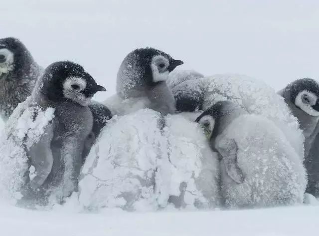 ?自動感應門常開關不上怎么辦