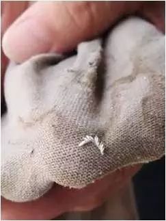 自動門軌道鋁屑